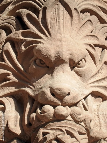 Photography queens park lion