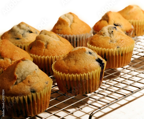 blueberry muffins