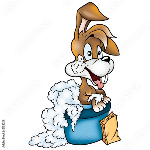 rabbit washing