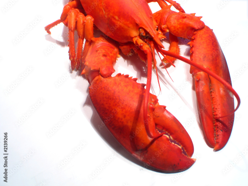 homard