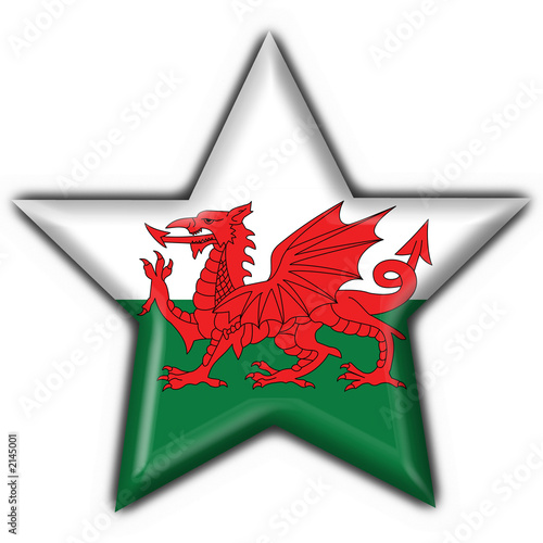 bottone stella gallese - wales button star flag