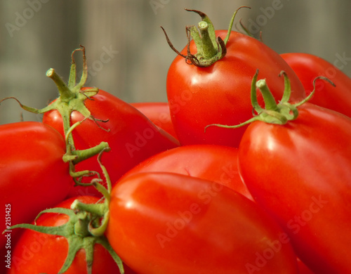 tomato harvest © sparkia