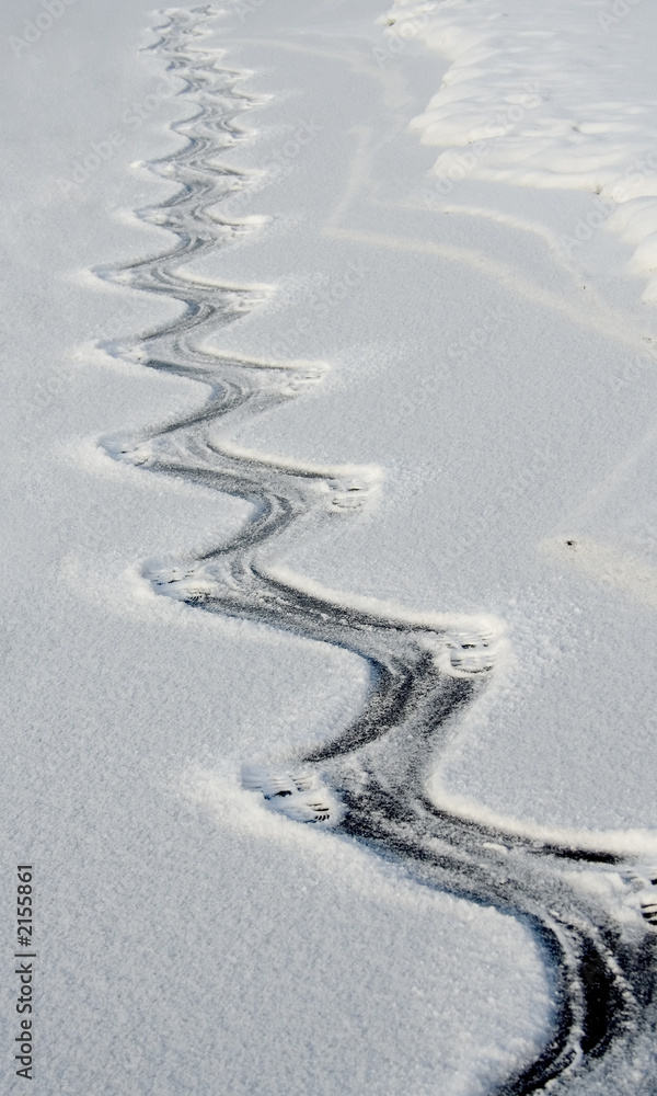 footsteps on the ice wreathed with snow footsteps on the ice wreathed with snow