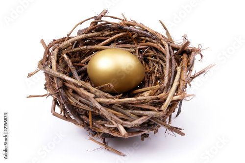 golden egg in nest photo