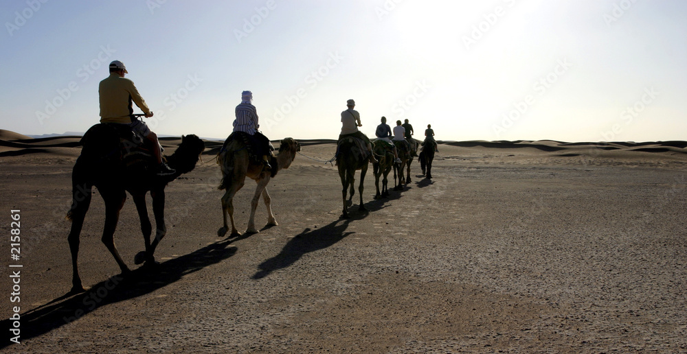randonneurs et chameaux dans le désert