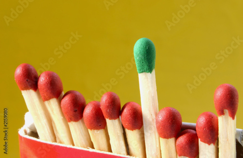 group leader