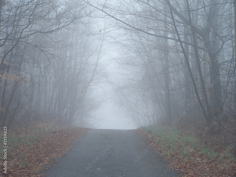 Obraz premium misty road