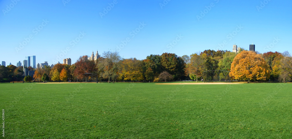 great lawn panoramic view, central park, new york
