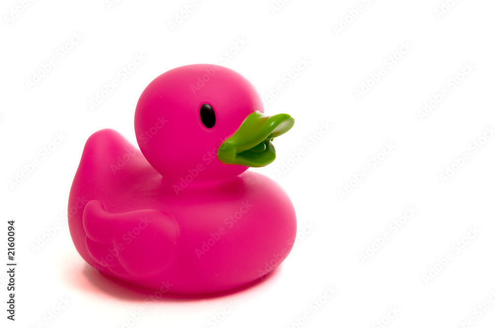 purple, pink rubber duck on white purple, pink rubber duck on white
