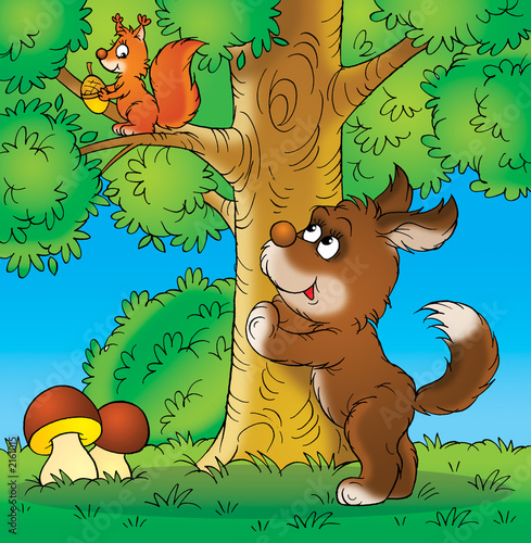 dog and squirrel