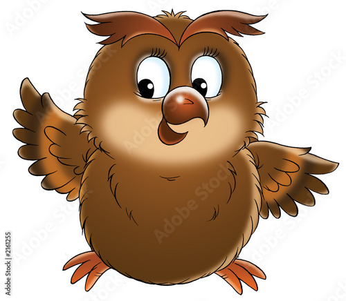 owl