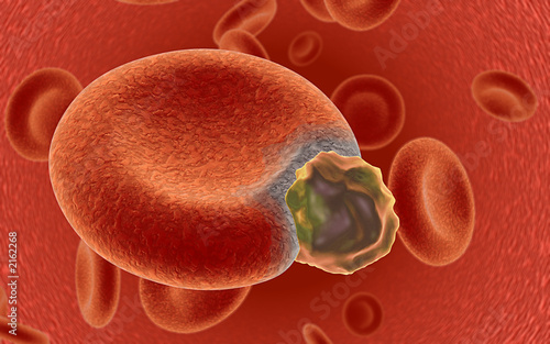 blood cell under attack