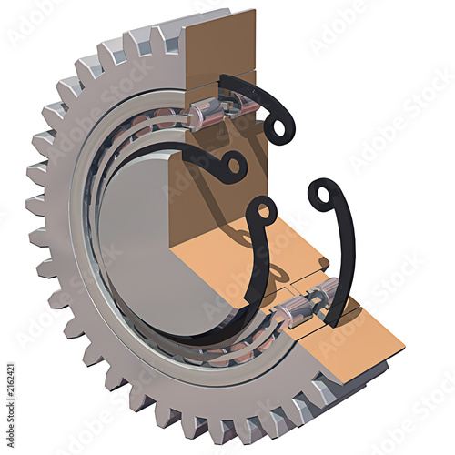 gear & bearing cutaway
