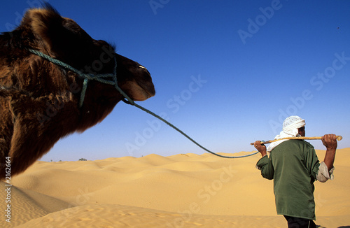 chamelier et son dromadaire dans le sahara