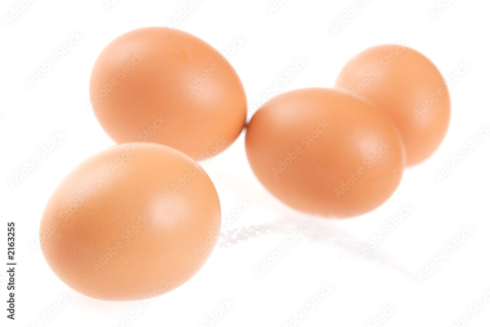 egg, feather egg, feather