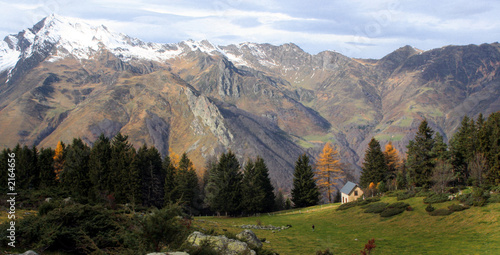 chalet forestier - im'py