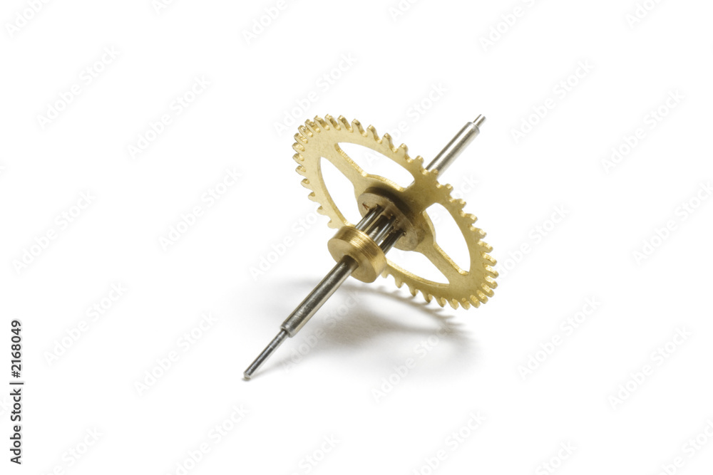 gear wheel gear wheel