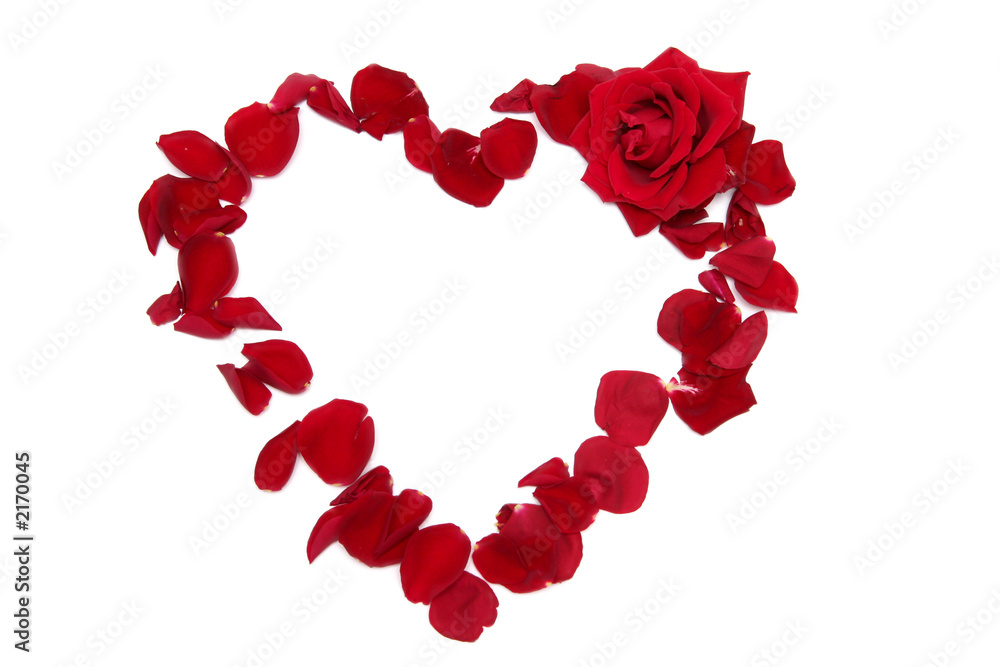 heart heart