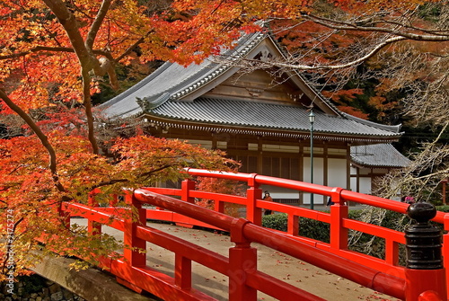 autumn temple photo