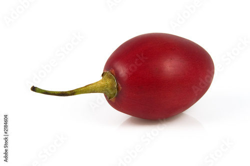 tamarillo  cyphomandra betacea photo