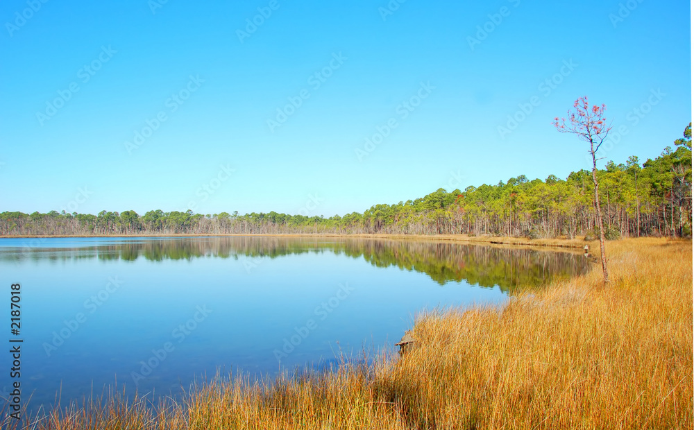 mirrored lake mirrored lake