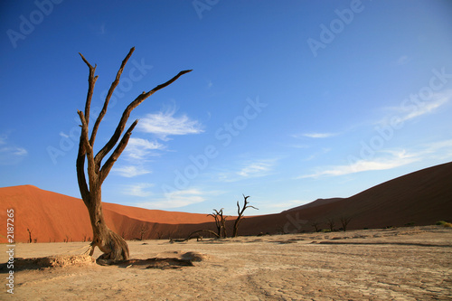 le site de sossusvlei en namibie © piccaya