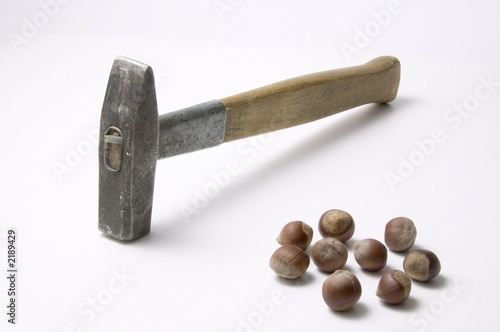 crazy hammer