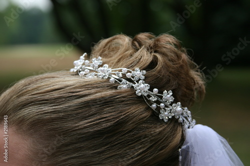 woman hair up do bride wedding pull back elegant