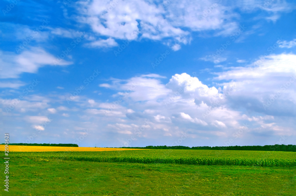 wonderful field landscape wonderful field landscape