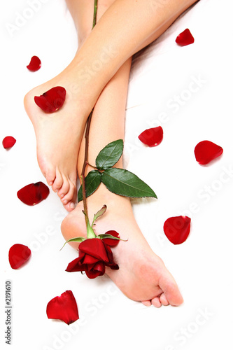 piernas y rosas