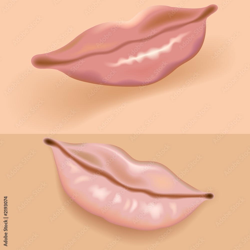lips vol.1 lips vol.1
