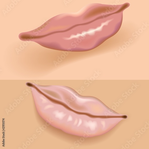 Fotografie lips vol.1