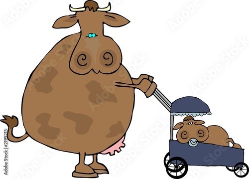 cow mom