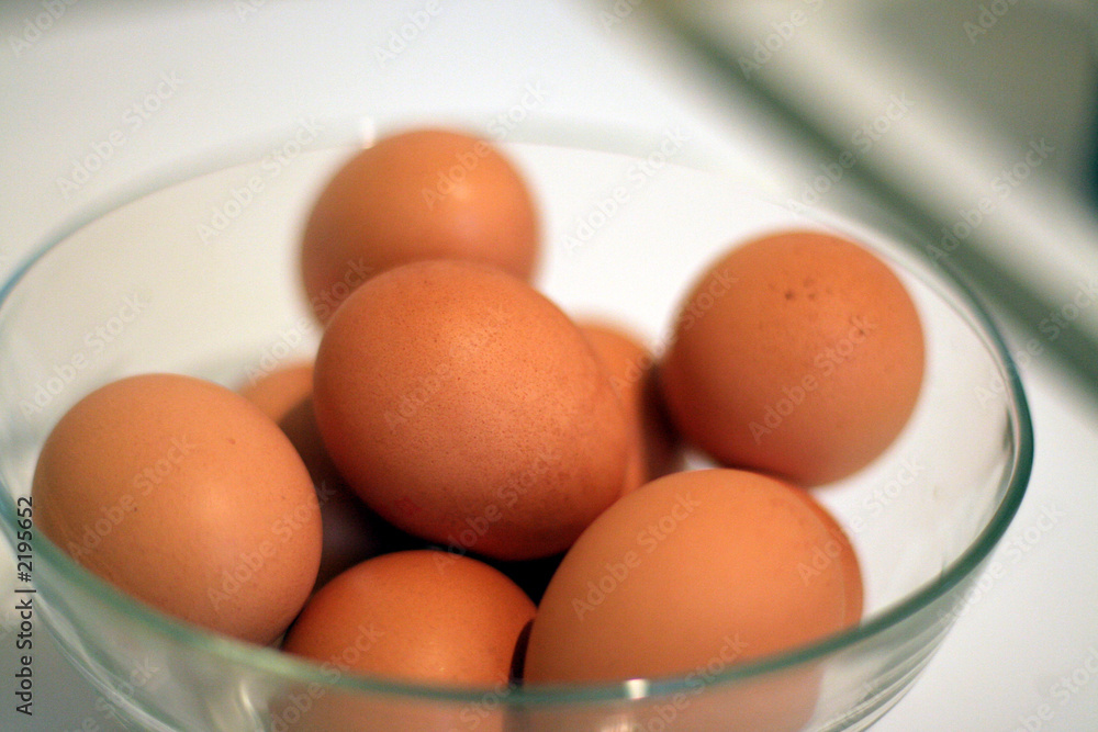 oeufs frais oeufs frais