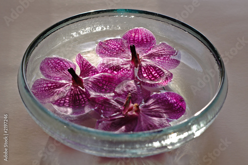 déco zen