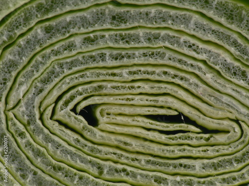 leak - macrophotography