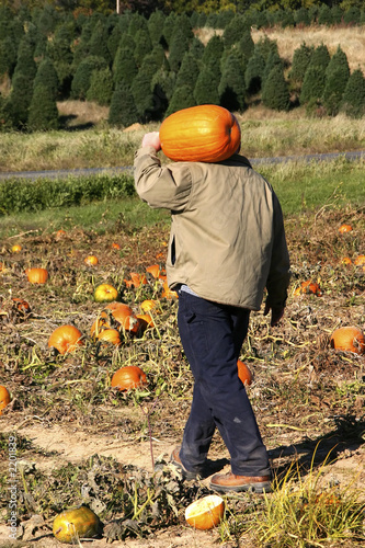 carrying the pumpkin