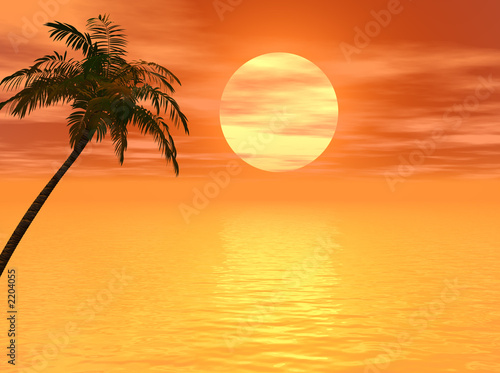 sunset_palm2