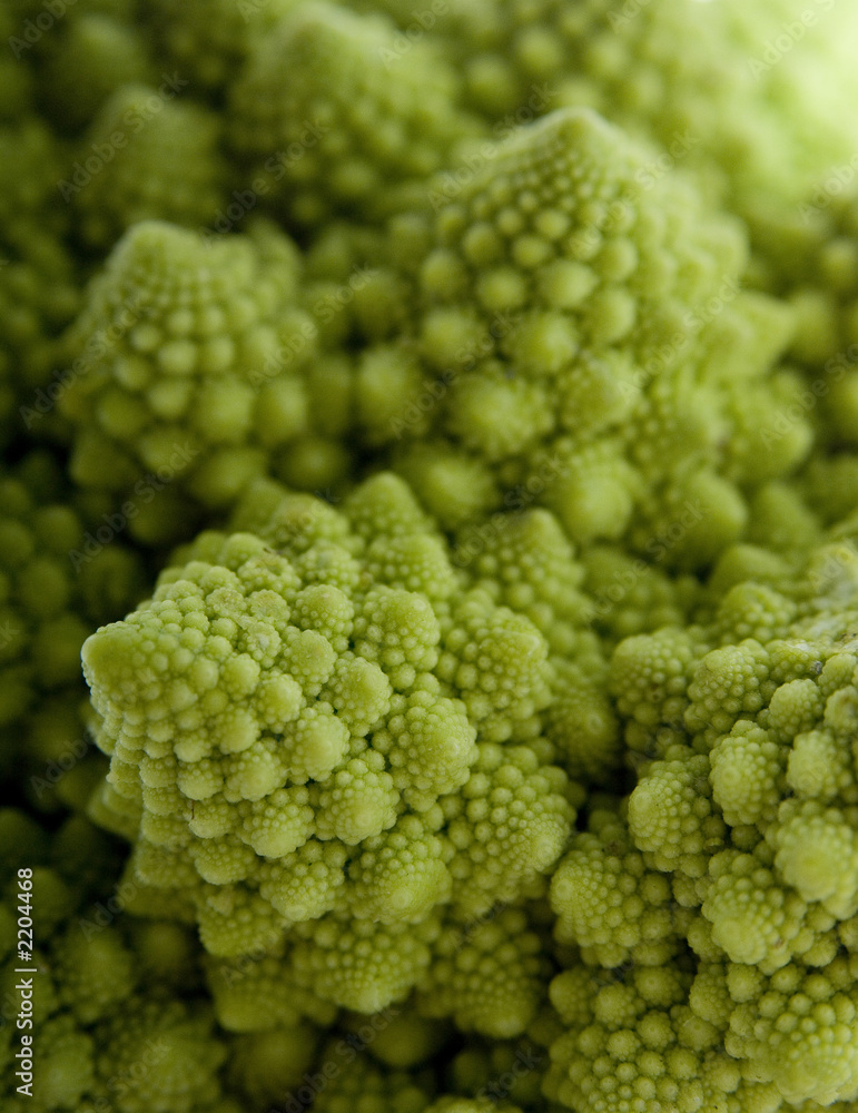 mathematics in nature mathematics in nature