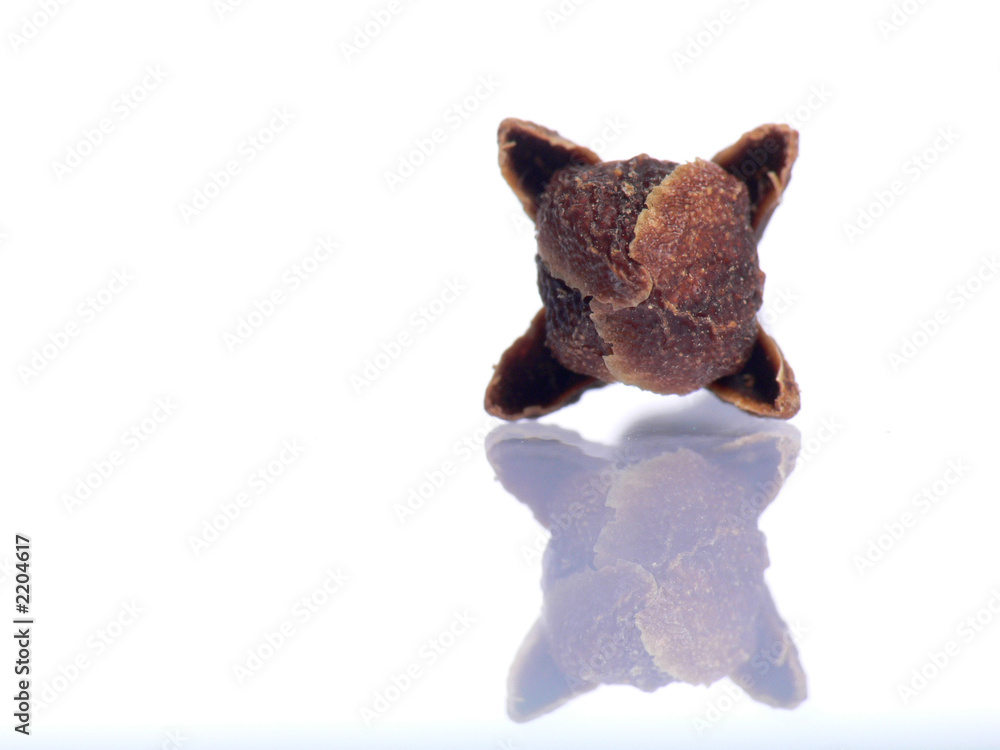 head of clove head of clove