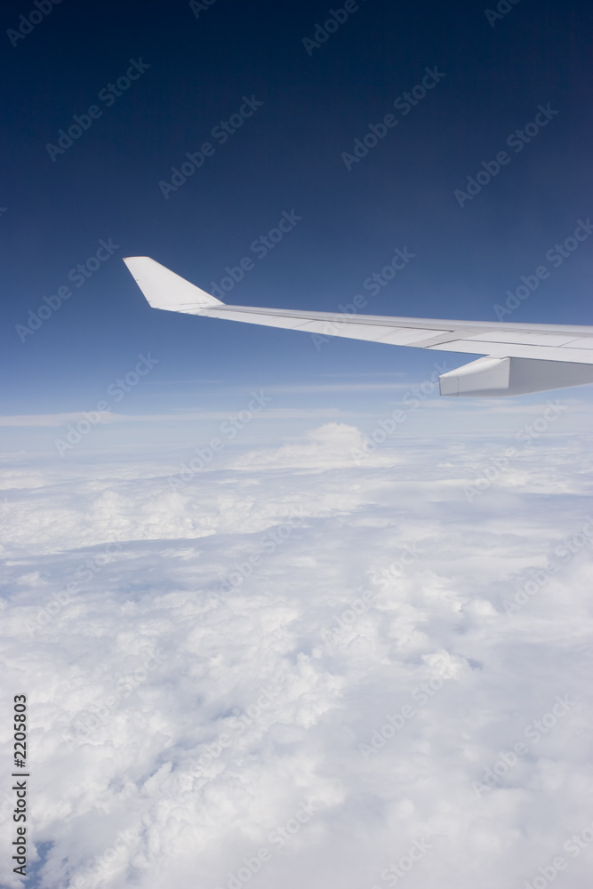 Obraz premium flying
