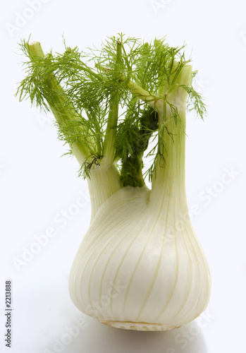 fennel