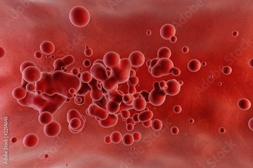 blood red corpuscles photo