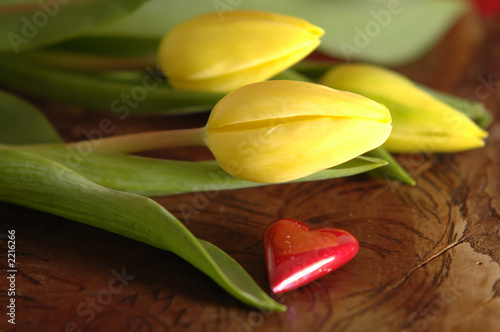 Fotografie tulpen mit herz