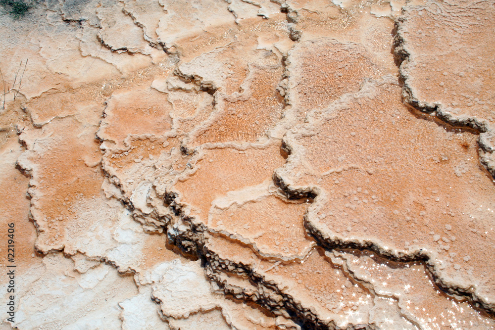 Fototapeta premium geyser at mammoth hot springs