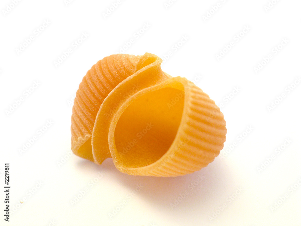 nudeln lumacconi vigati tomate nudeln lumacconi vigati tomate