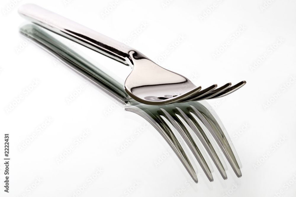shiny fork shiny fork
