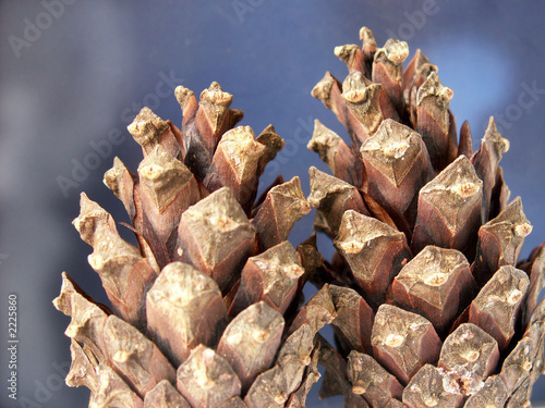 cone