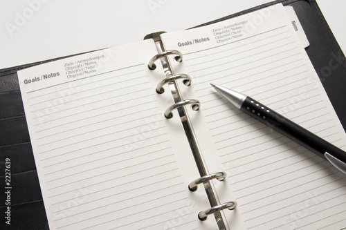 business agenda goals
