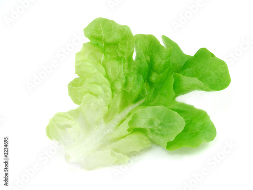 salade 1